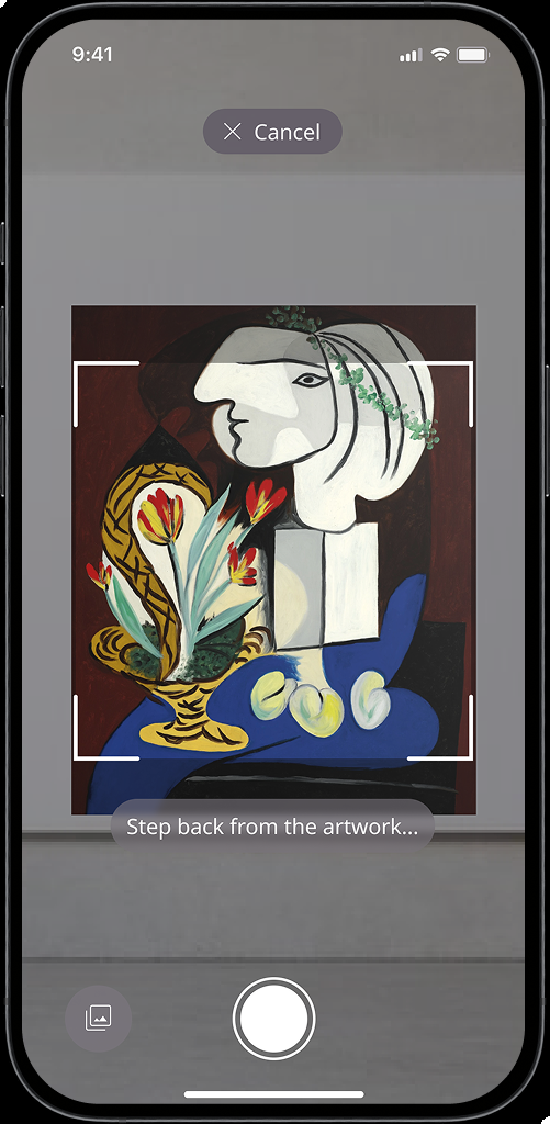 Camera view capturing a Picasso artwork for identification